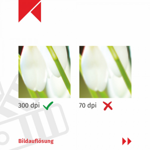 Auflösung_TippderWoche_Feb26-3